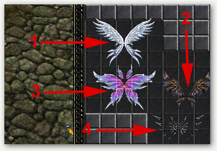 Alas Evolucionadas Alas Evolucionadas