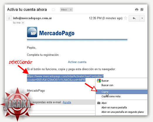 Copia el enlace Copia el enlace